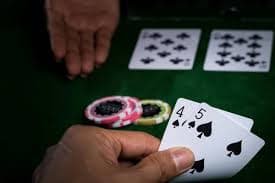 8855bet44